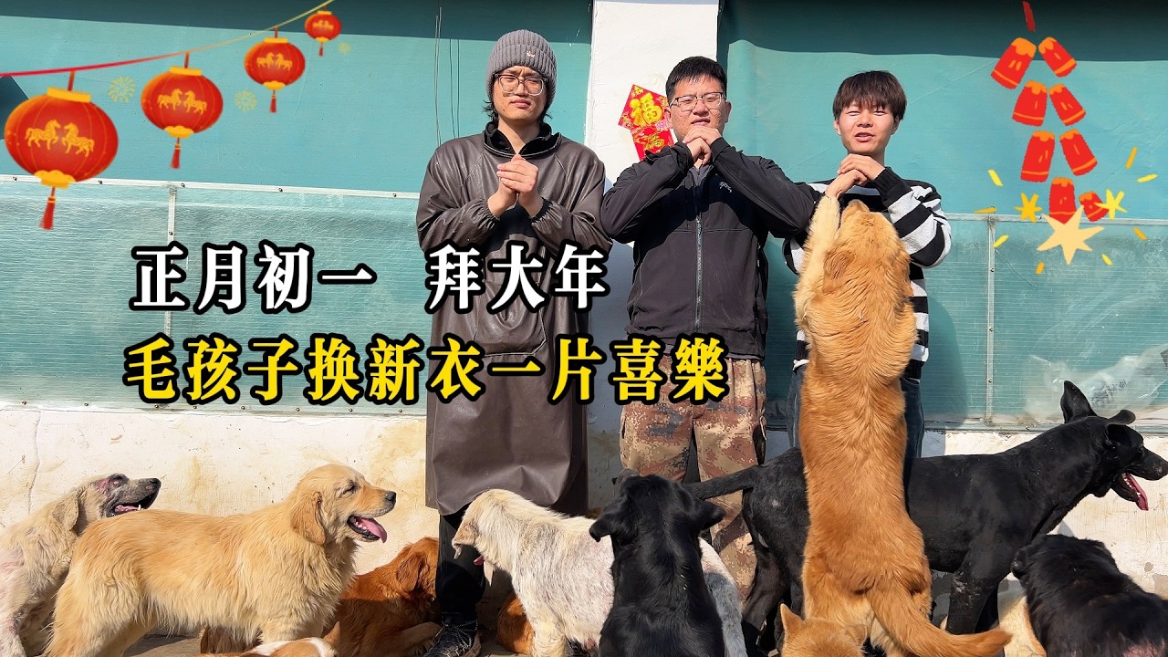 正月初一，穿新衣拜大年，祝大家春節快樂，馬年行大運！