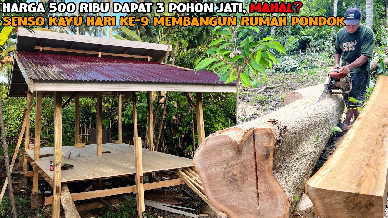 PEMBANGUNAN RUMAH PONDOK SELESAI 50% | BELI KAYU JATI HARGA 500 RIBU DAN MULAI PASANG SENG & LANTAI