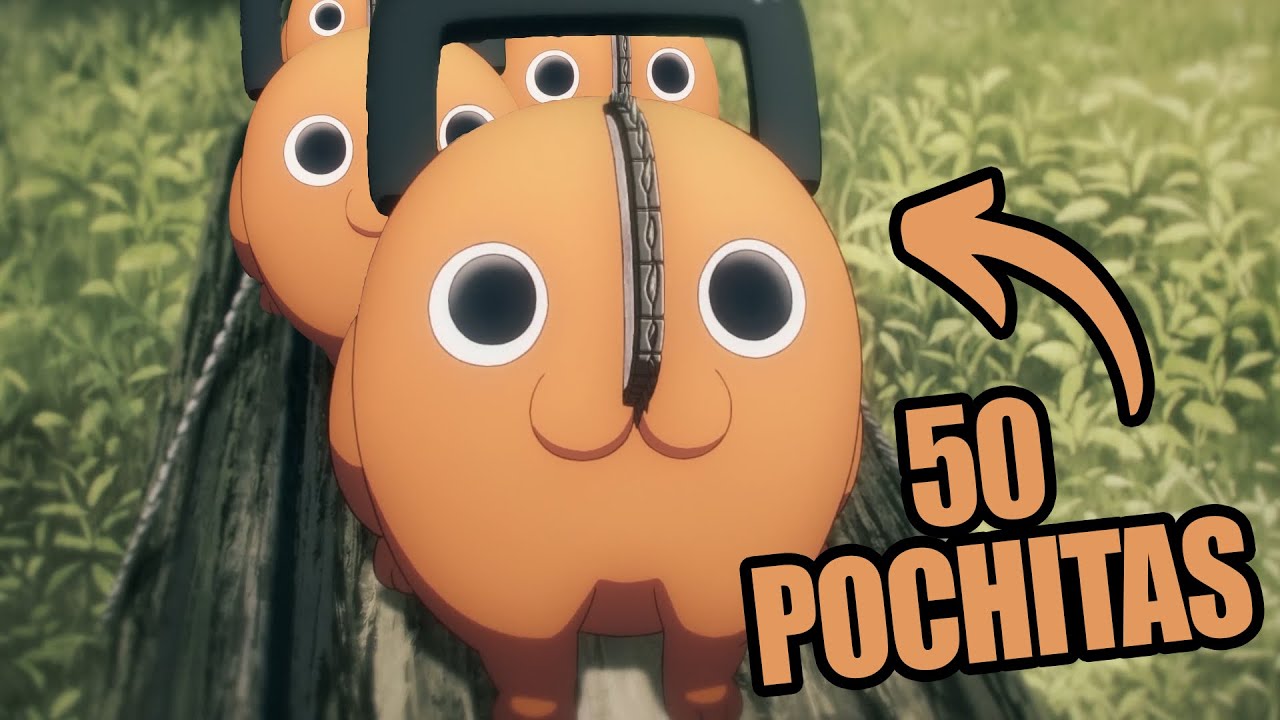 Chainsaw Man but Denji has 50 Pochitas