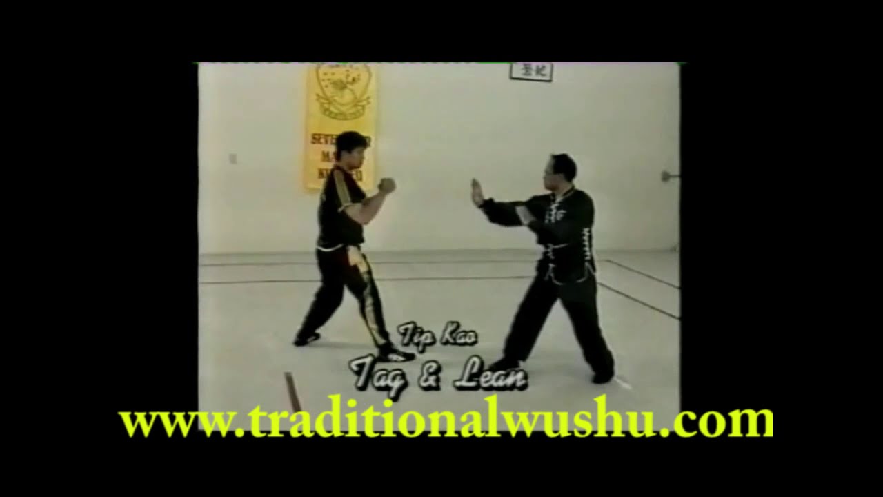 Grandmaster Lee Kam Wing 7 Star Mantis