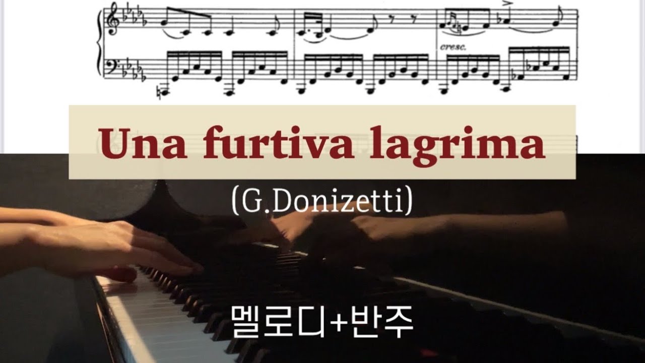 Una furtiva lagrima(남몰래 흘리는 눈물G.Donizetti) 멜로디+반주,해석 *악보