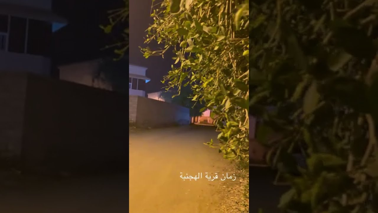 قرية #الهجنبة _ احد المسارحة _ جازان