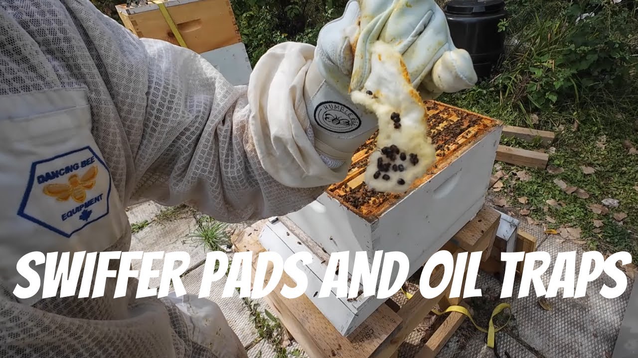 SWIFFER PADS AND OIL TRAPS