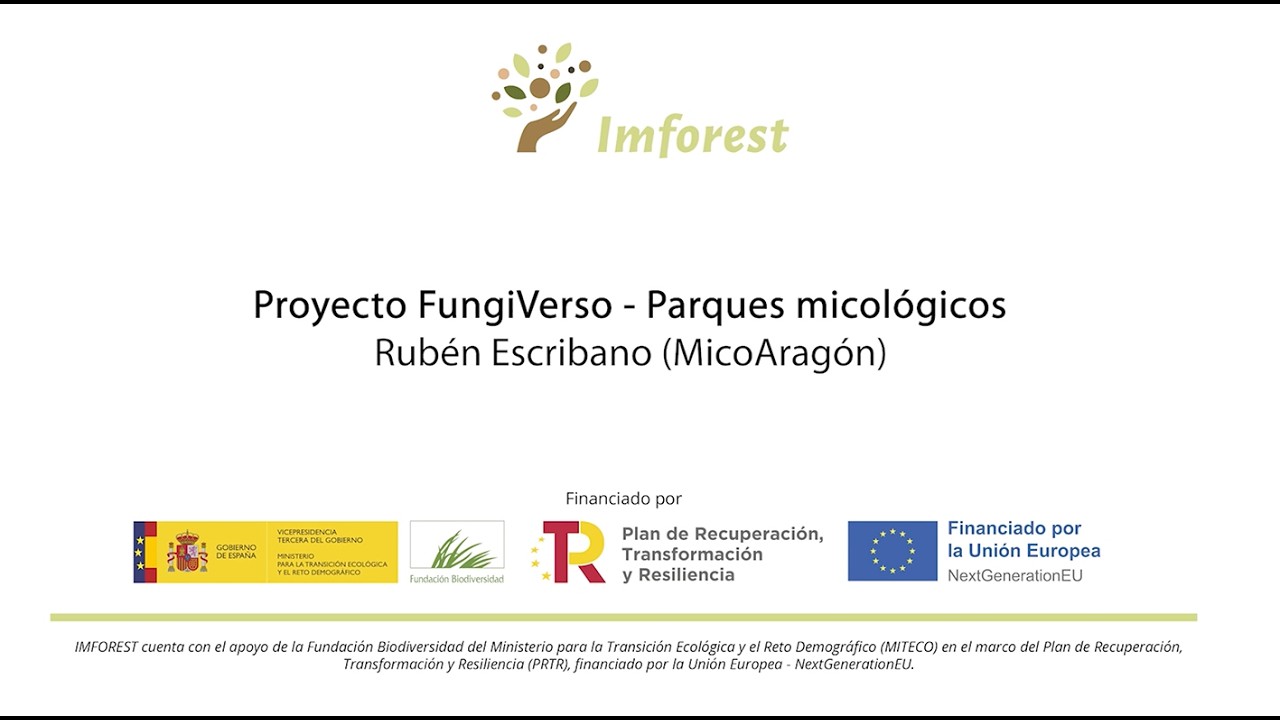 EVENTO FINAL IMFOREST: Proyecto FungiVerso - Parques micológicos