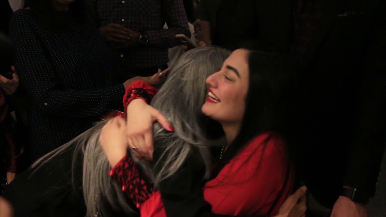 Muniba Mazari Paintings Exhibition - Highlights
