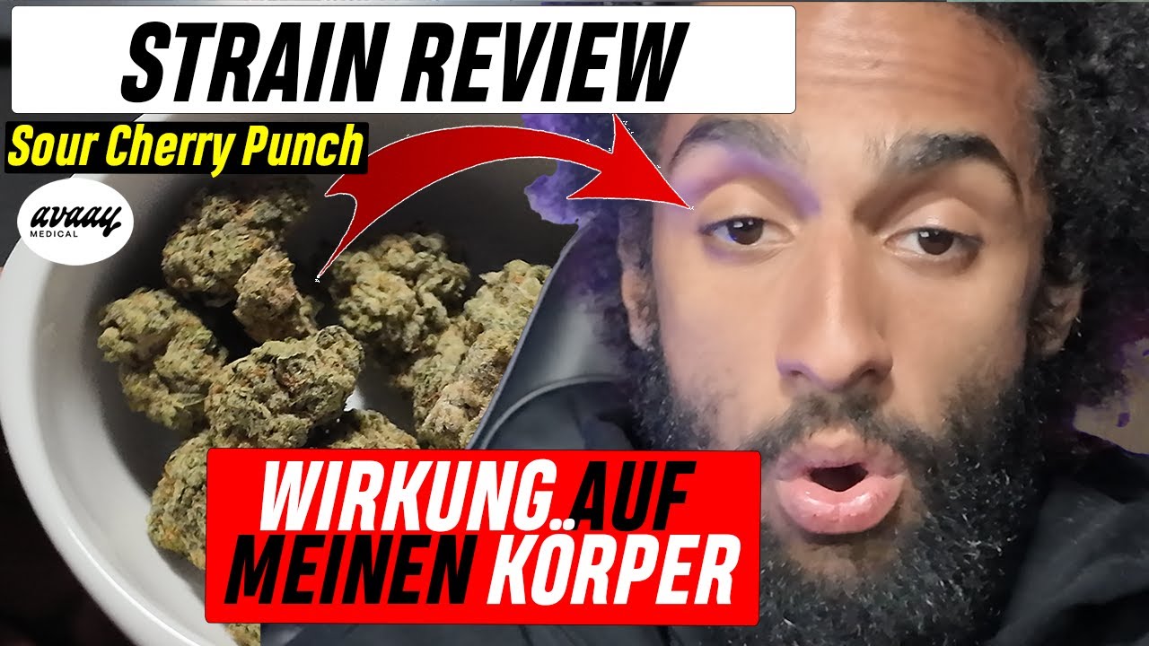 Was passiert bei 33% THC? Ich teste es! Strain Review Sour Cherry Punch