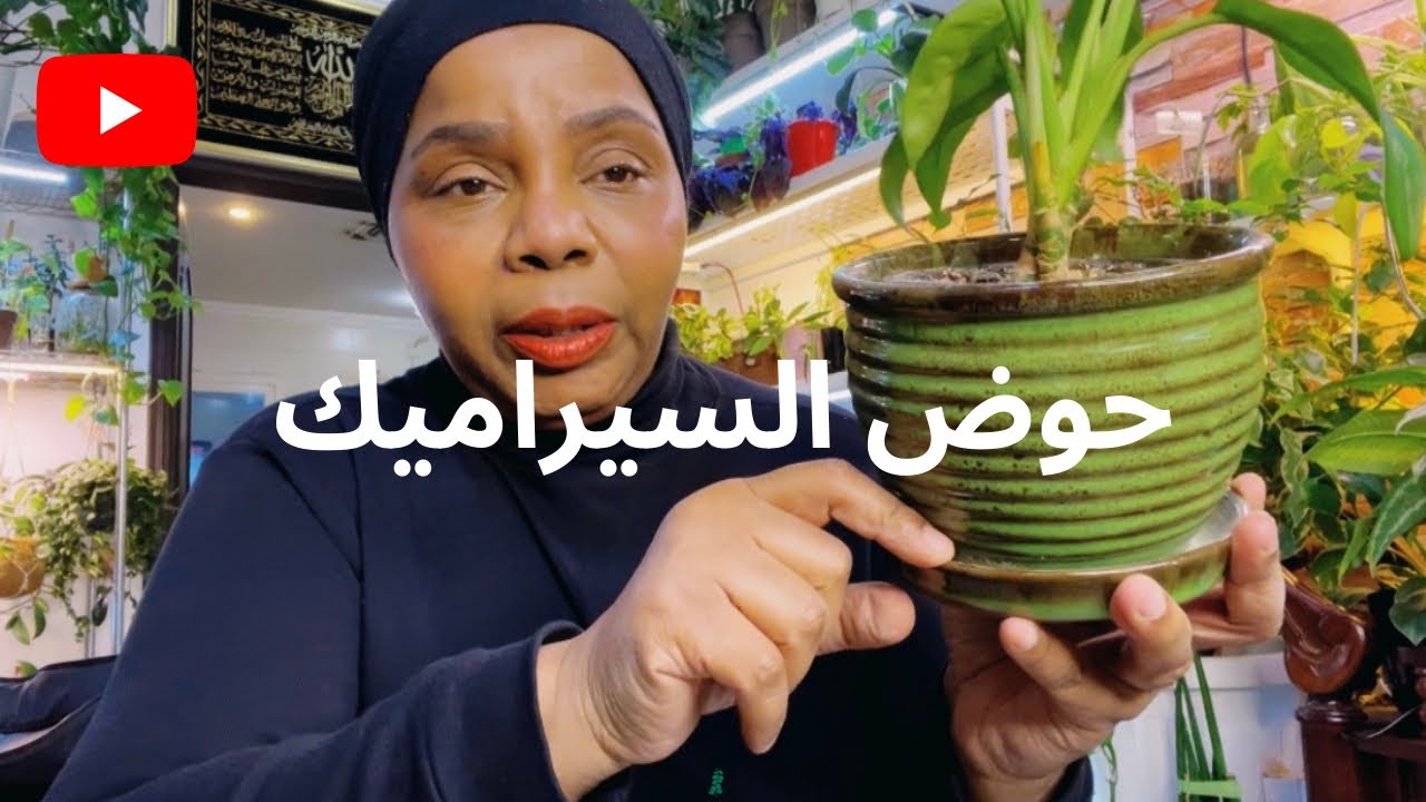 كيف وشنو الحل مع احواض السيراميك والاكواب ؟؟