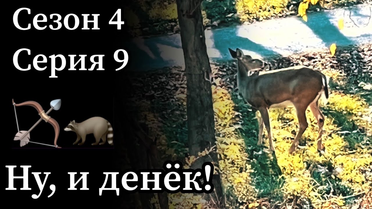 Выстрел из лука по оленю на 45 метров с супер тяжелой стрелой