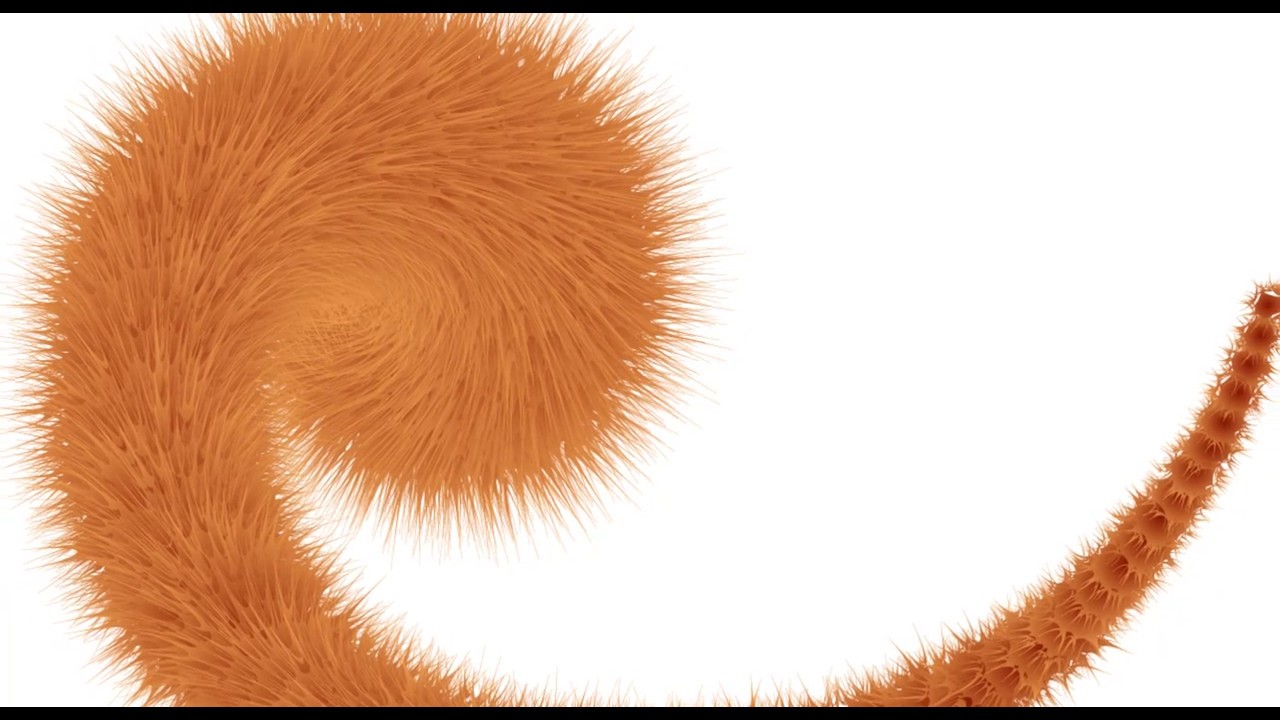 Spiral tool and Hair Effect in Adobe Illustrator CC 2019 tutorial