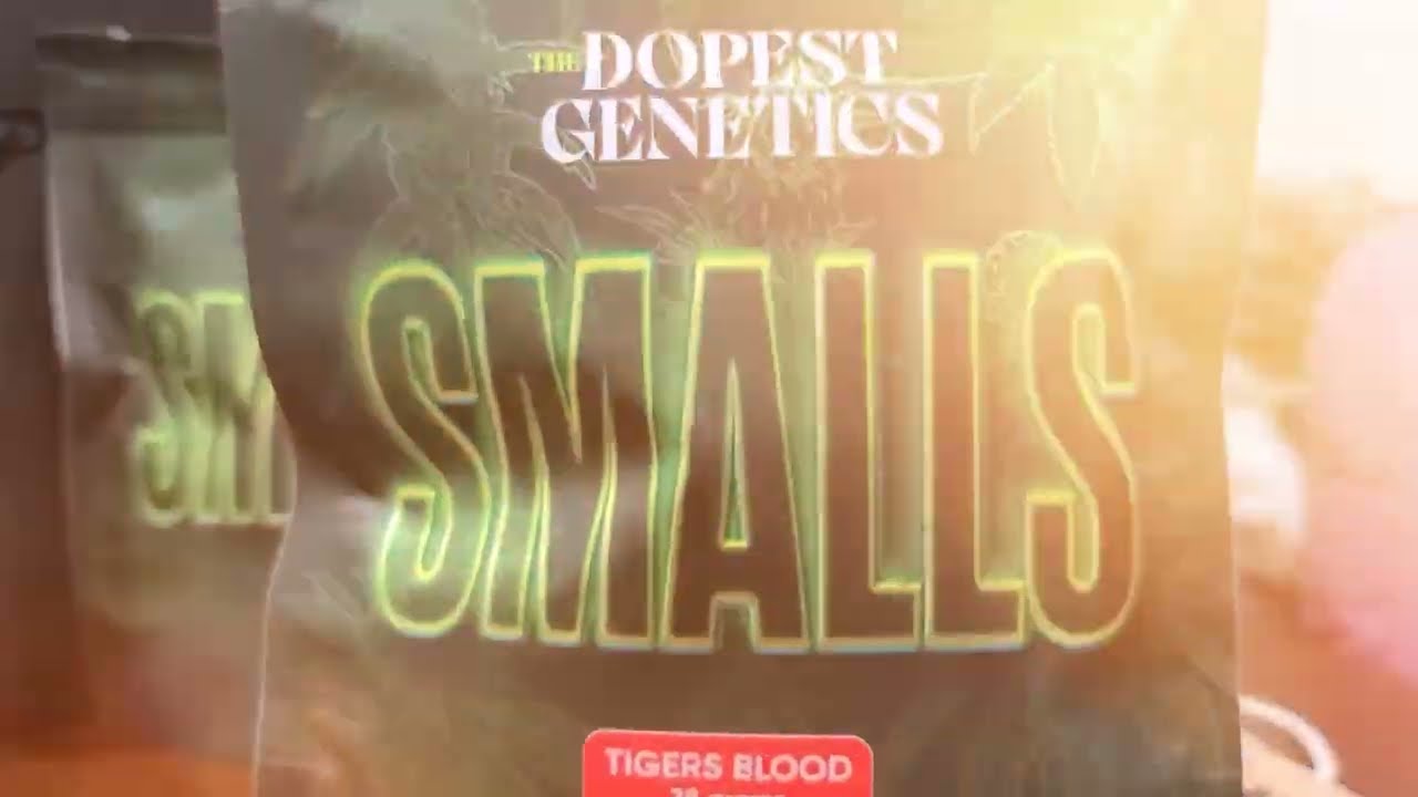The Dopest Genetics #THCA SMALLS TIGERS BLOOD #strainreview | @thedopestshop_