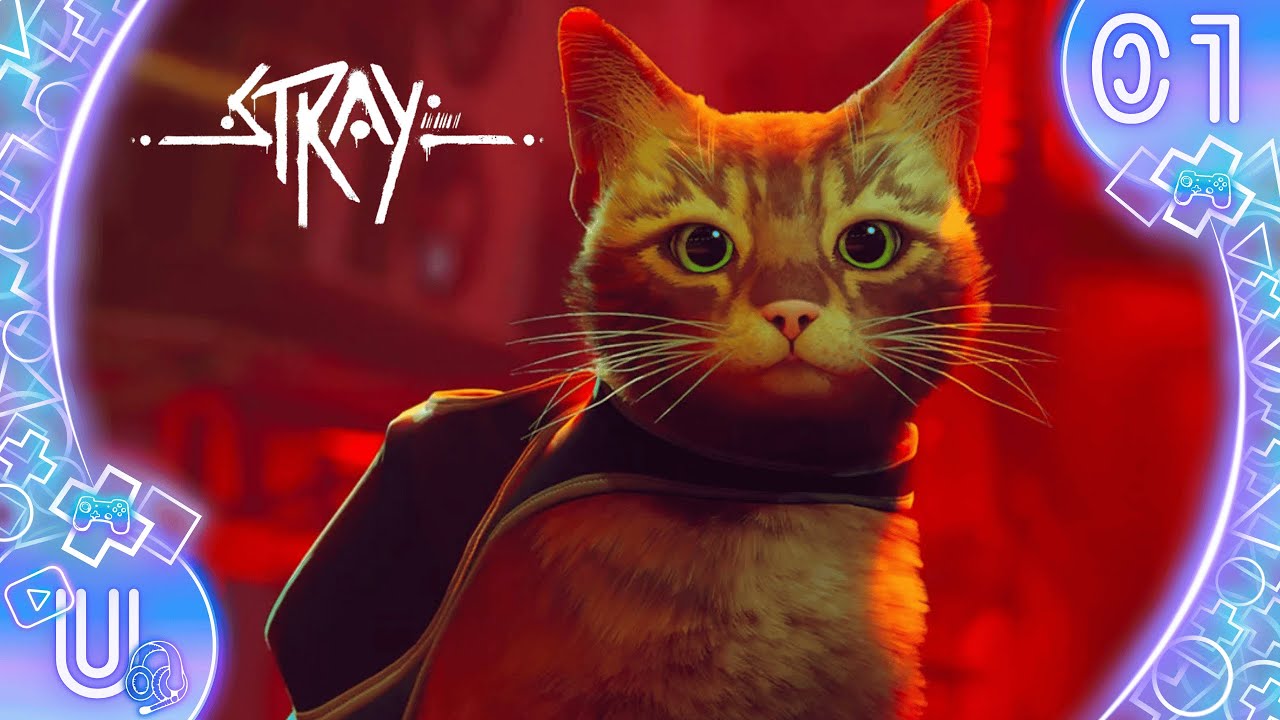 STRAY FR #1