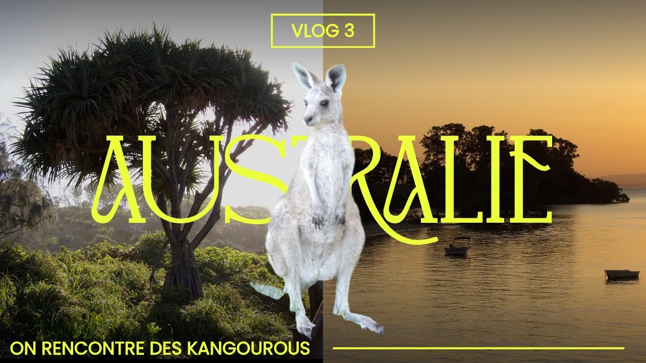 On rencontre des Kangourous 🦘 - VLOG Australie