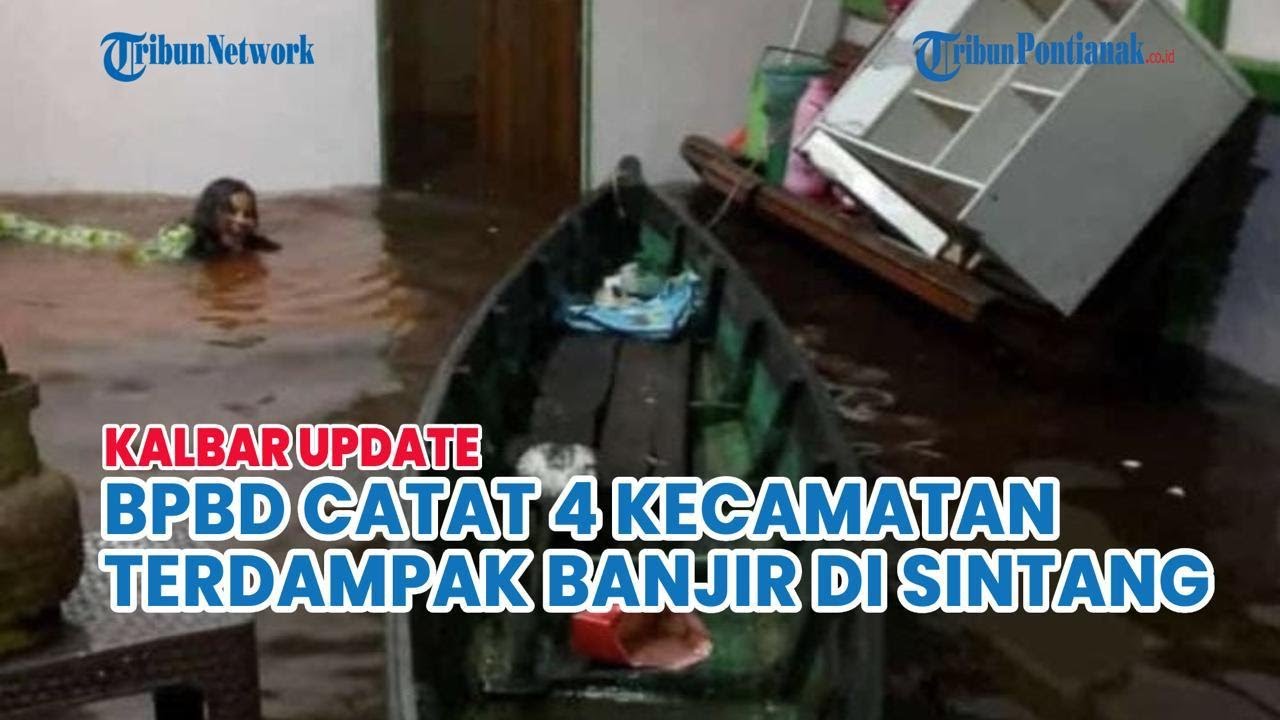 🔵Live Kalbar:  BPBD Sintang: Empat Kecamatan Terdampak Banjir, Warga Diimbau Waspada