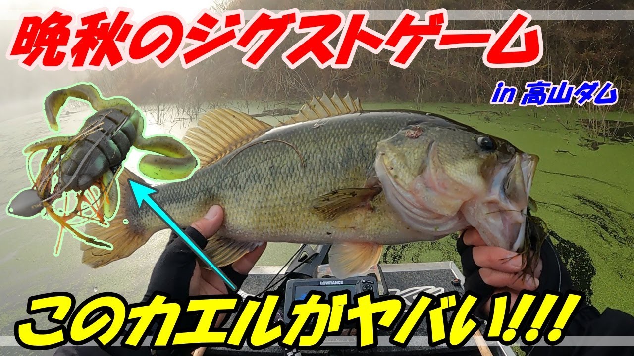 【高山ダム】晩秋のジグストゲーム!!【バス釣り】