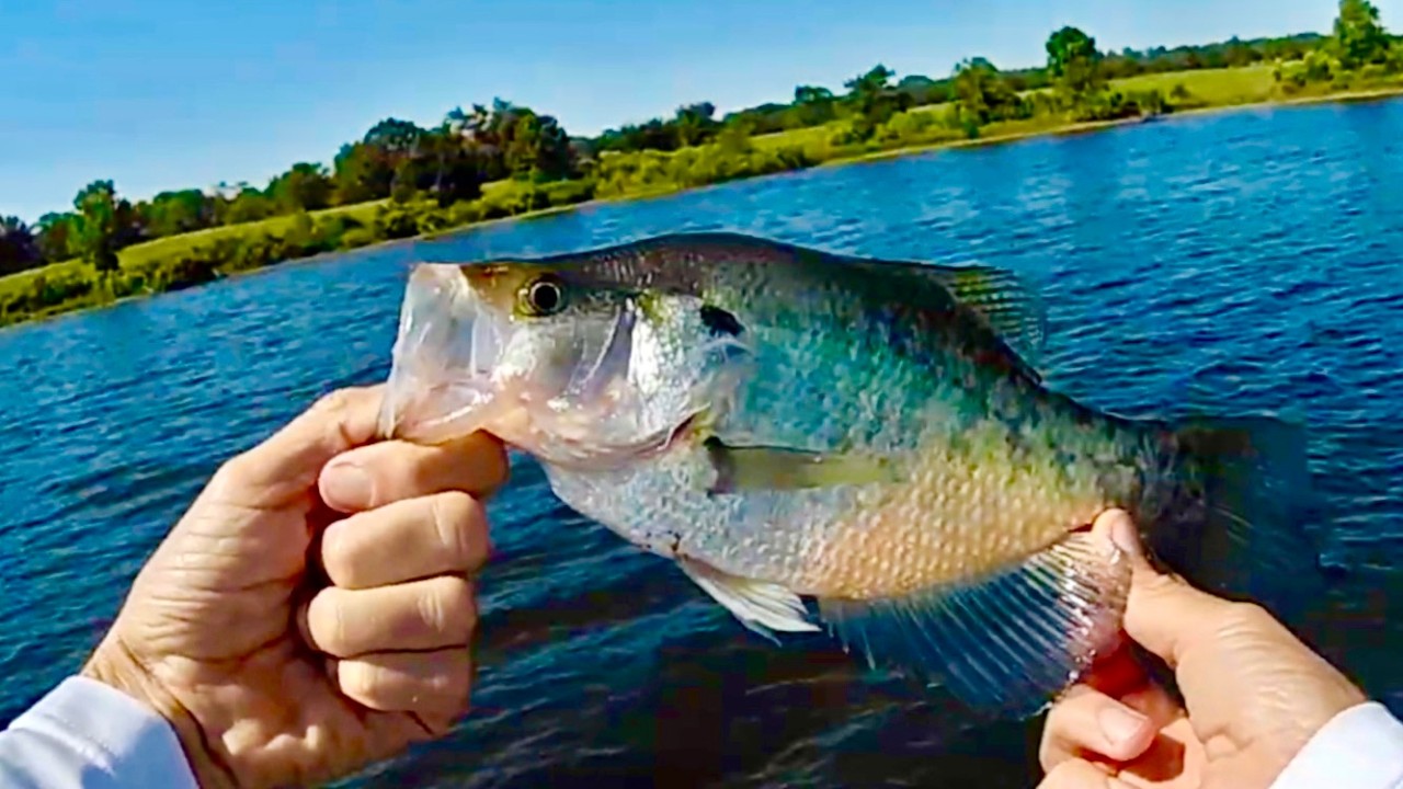 How I Find Crappie in October