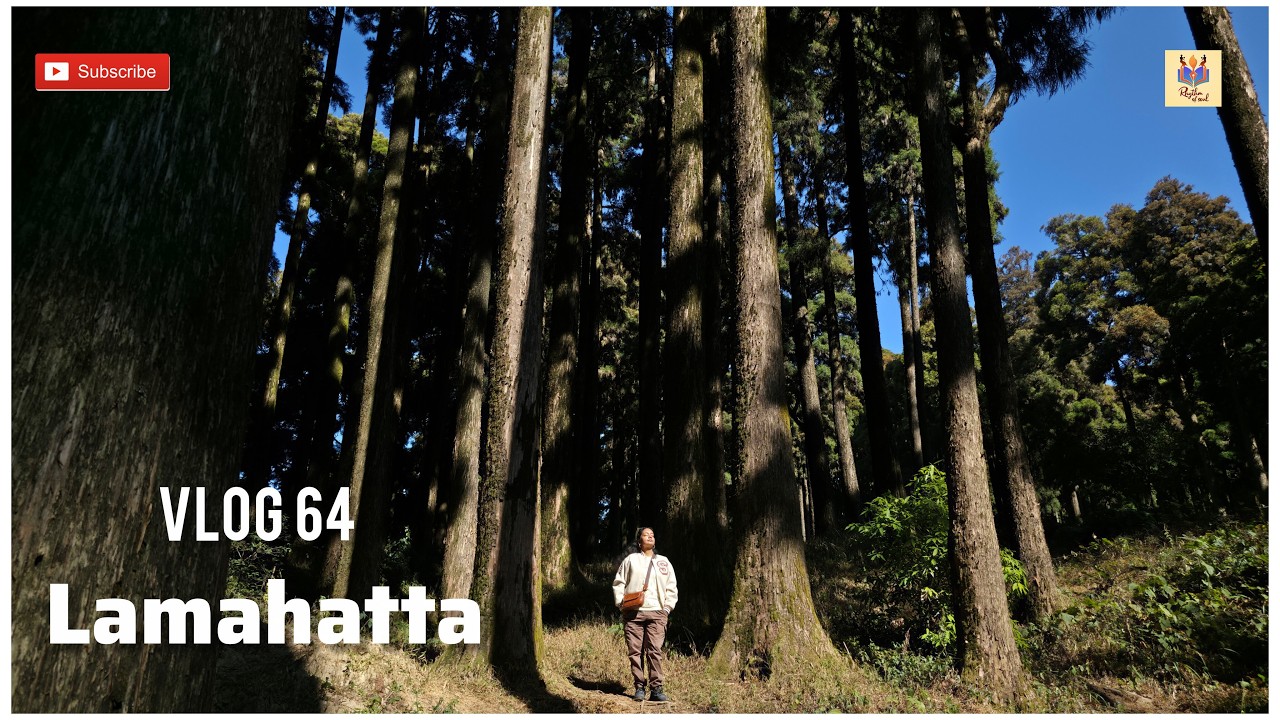 Vlog 64 | Kanchenjunga, Lamahatta, Gumbadara, Takdah, Rungli Rungliot Tea Garden || Rhythm of Soul