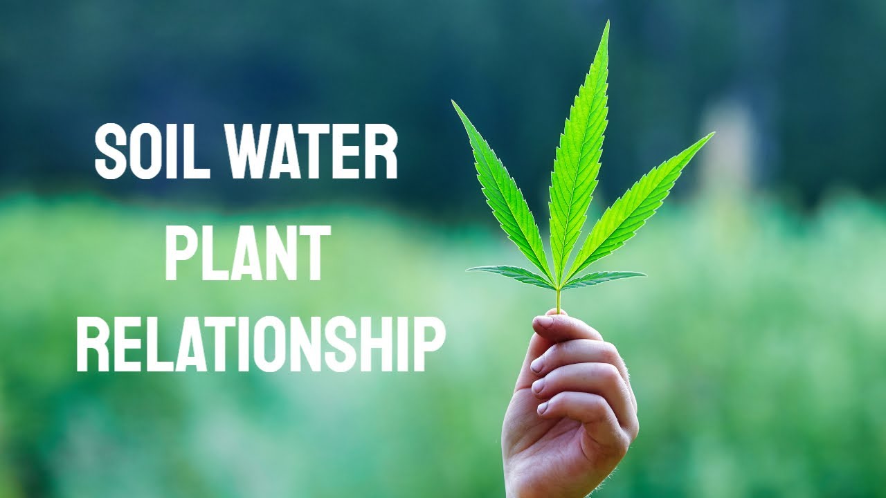 What is Soil Water Plant Relationship?