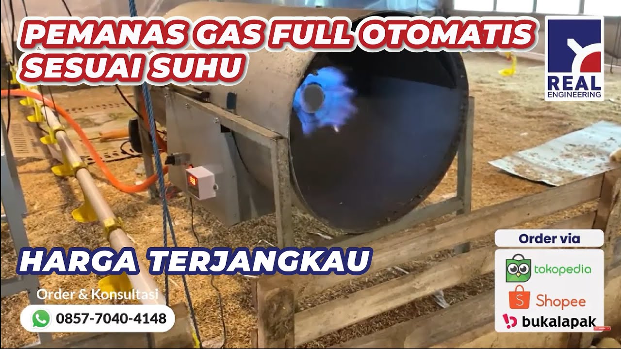 Pemanas Ruangan Kandang Ayam Broiler Bahan Bakar Gas Full Otomatis Sesuai Suhu