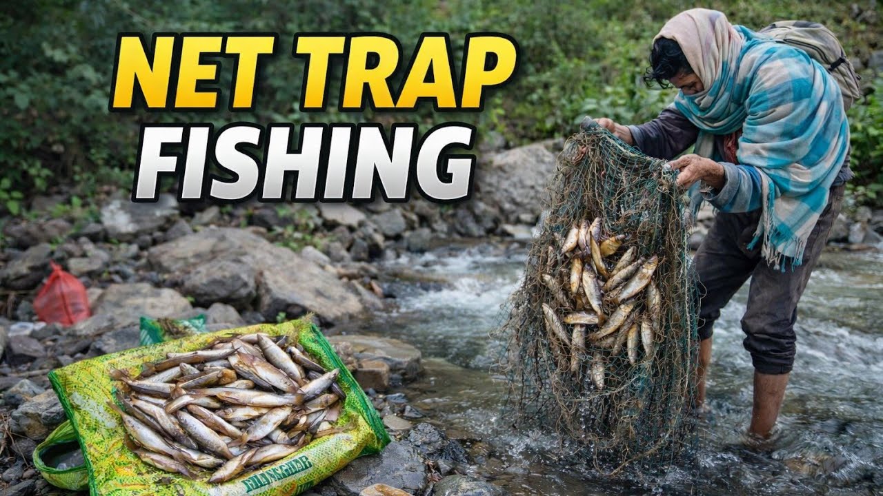 Net Trap Fishing In Himalayan Small River Of Nepal Season_1 [ Part_7] (Asala machha 🐟) 🎥🔥🇳🇵 