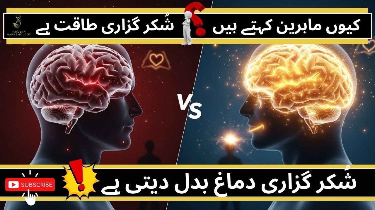 Kya Shukar Guzaari Aapke Dimagh Ki Saakht Badal Sakti Hai? | Science & Secrets Revealed! #food