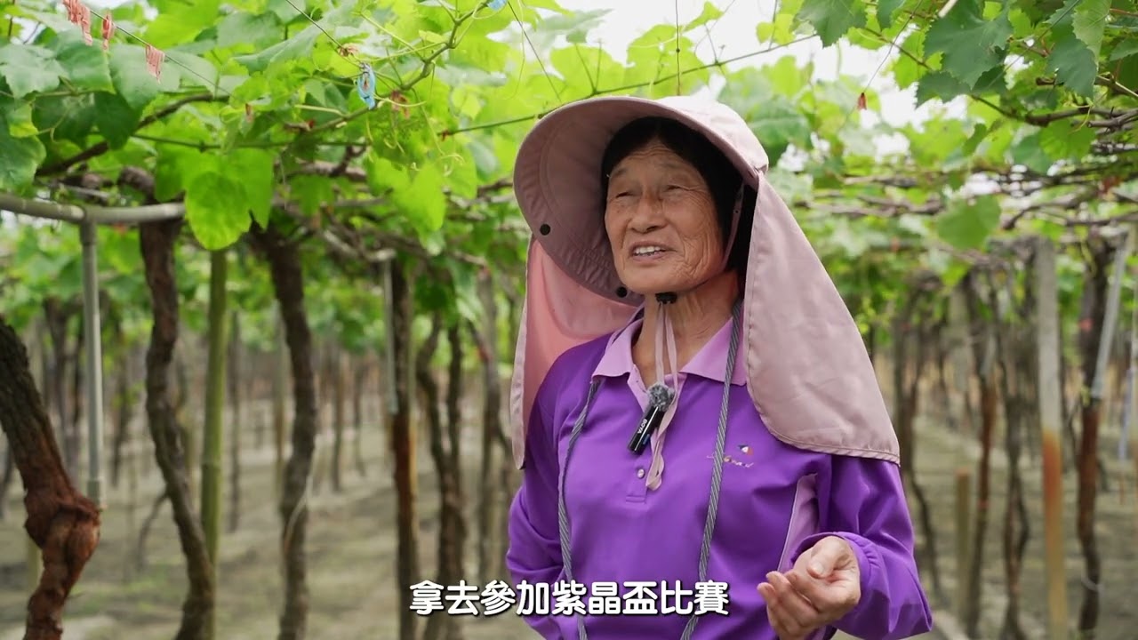 果樹作物應用: 釀酒葡萄 精華