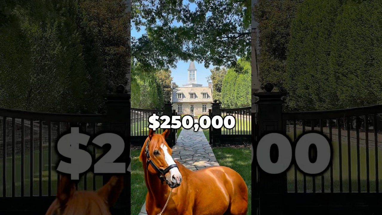 Crazy race horse breeding stats! #horseracing #horses #horseenthusiast #horsefan #horsebreeding