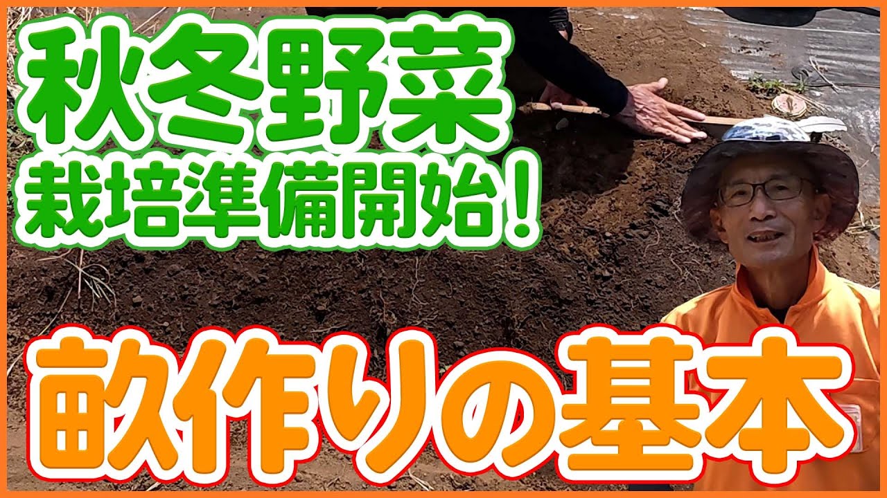 秋冬野菜に備える！太陽熱消毒後の畝管理とフカフカ土作り＆畝作り手順を徹底解説！【農園ライフ】