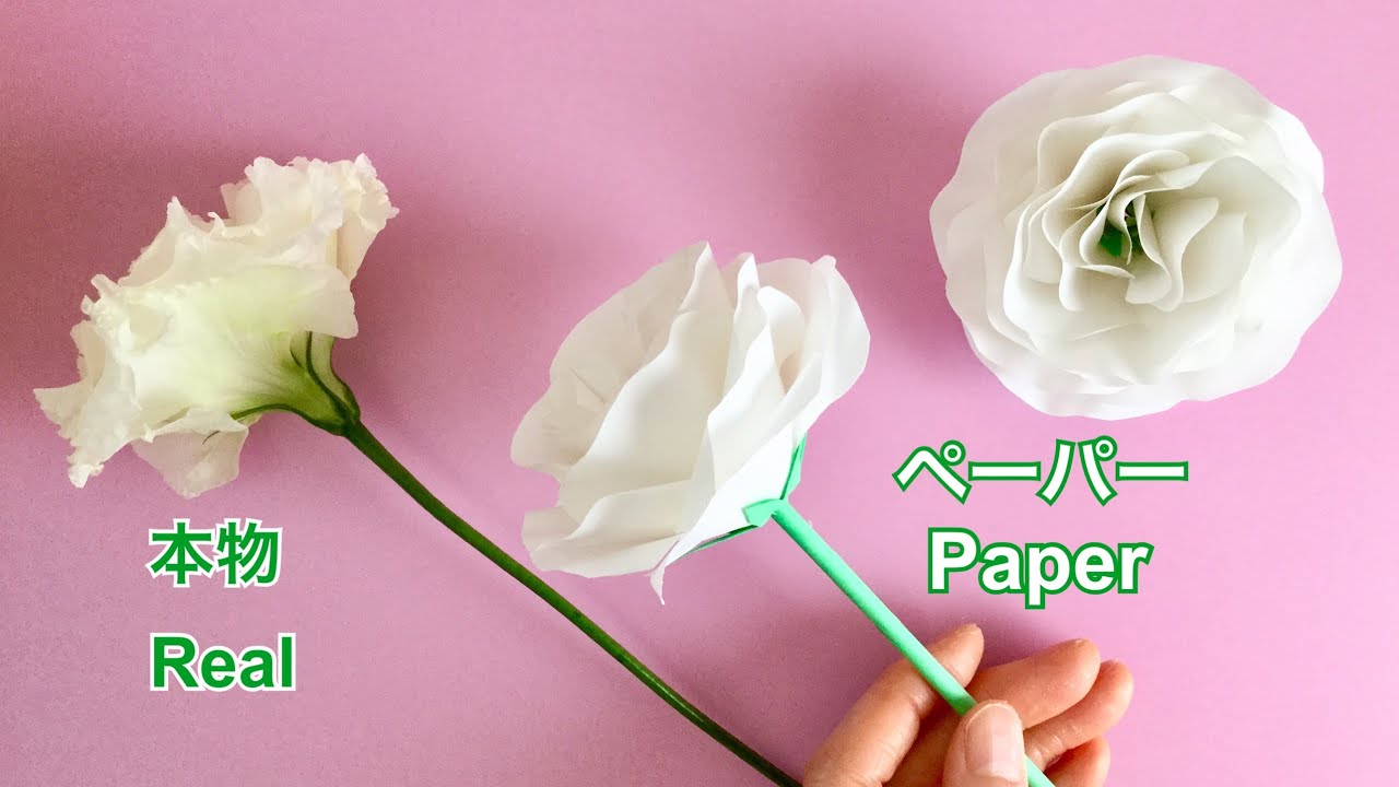 【コピー用紙】白いトルコキキョウ【Paper Flower】White Eustoma （Lisianthus）