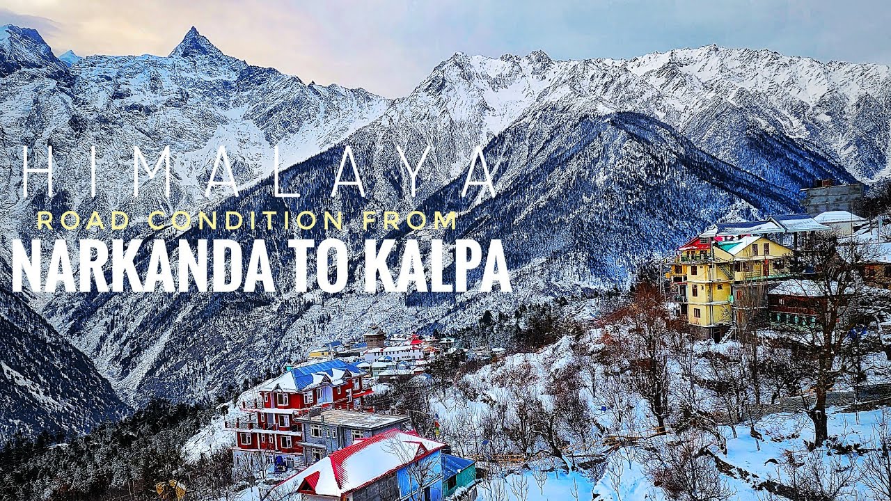 SNOW LEOPARD EXPEDITION 2024 | NARKANDA TO KALPA | ROAD CONDITION | HIMACHAL PRADESH | INDIA