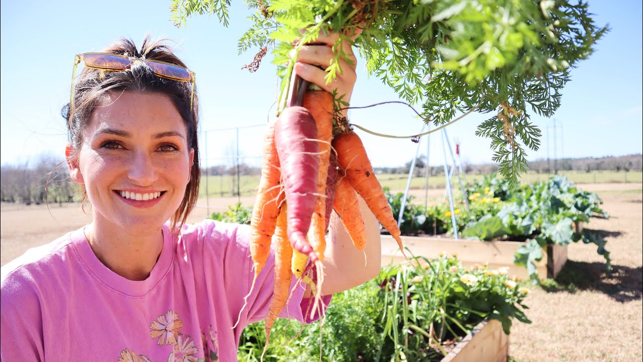 Winter Garden Harvest! | North Florida Gardening