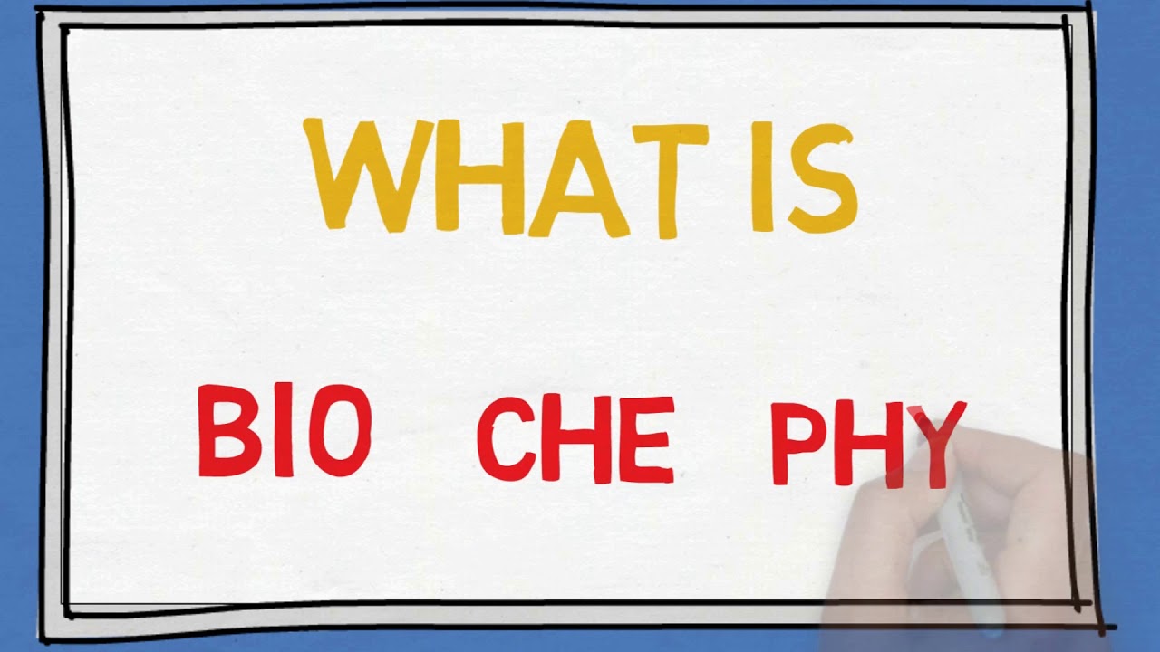 What Is Biology/Chemistry/Physics?