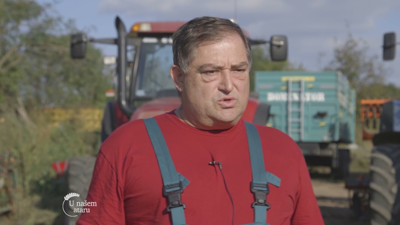 Jesenja SETVA u selu SMOLJINAC - U nasem ataru 916