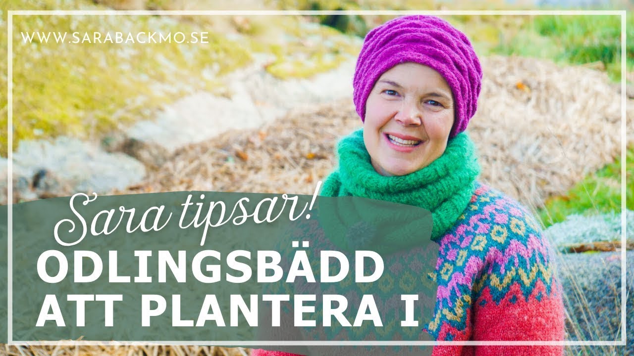 Gör en ny odlingsbädd att plantera i