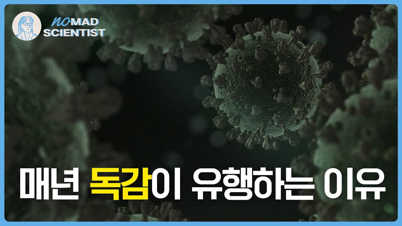[노매드 사이언티스트] 매년 독감이 유행하는 이유
