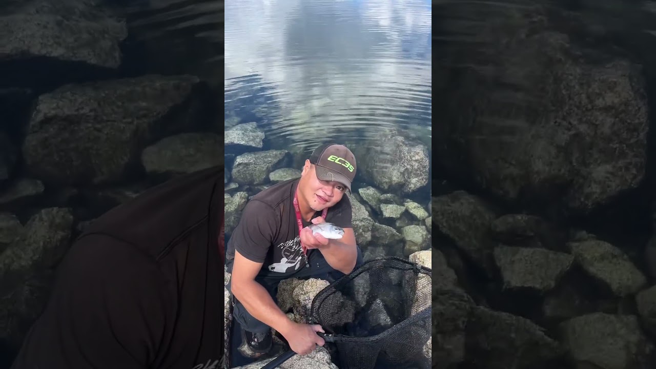 Fishing At Elbert Mountain Forebay Reservoir: #fishing #world