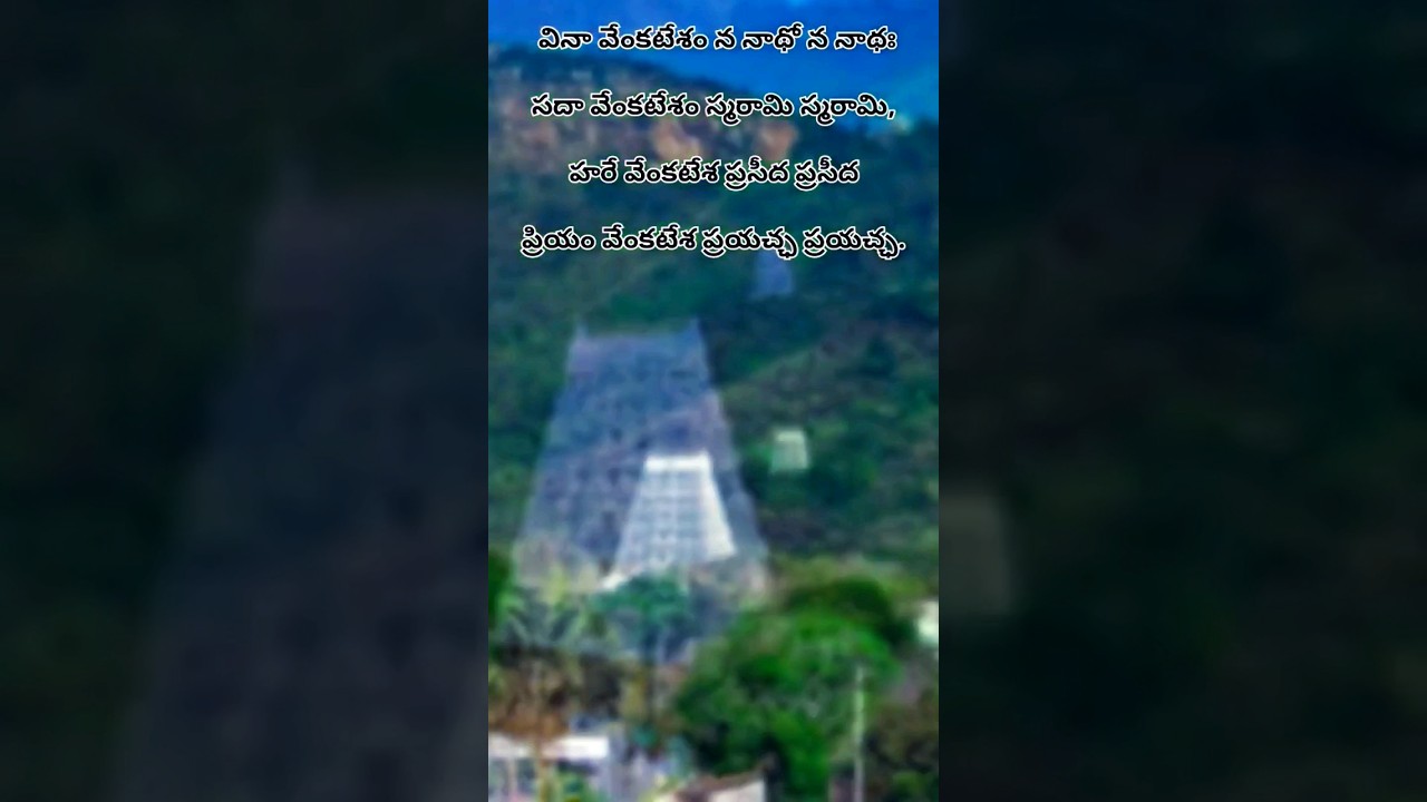 Vina Venkatesam | Suprabhatam | MS Subbulakshmi #suprabhatam #slokam #tirumala #ttd #svbc