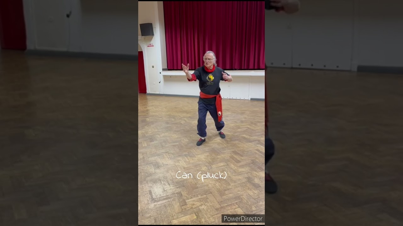 Tai Chi 8 Energies Form.