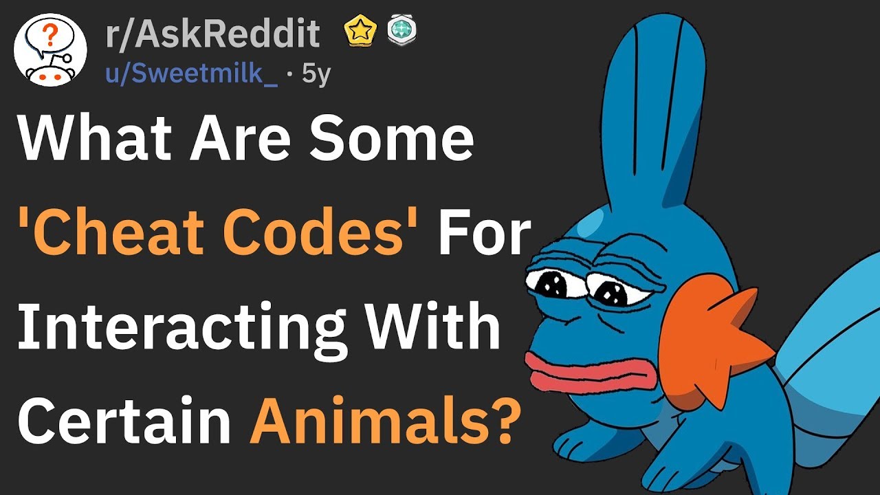 Cheat Codes For Interacting With Animals (r/AskReddit)
