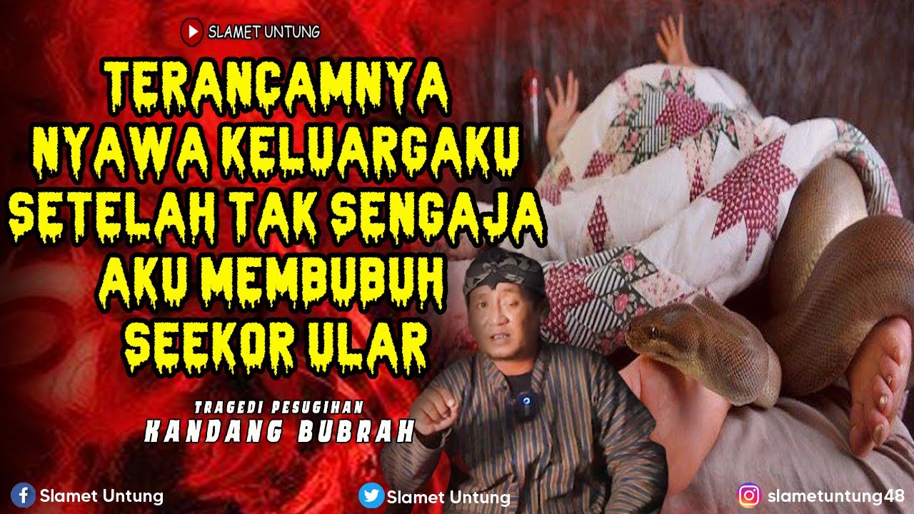 KISAH SERAM MENGERIKAN ❗❗ TERANCAMNYA NYAWA KELUARGAKU SETELAH AKU MEMBNH ULAR ❗❗ PODCAST HOROR