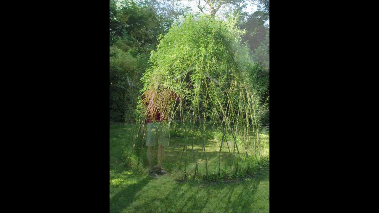 Weideniglu Kinderschutzhaus 2012 WMV