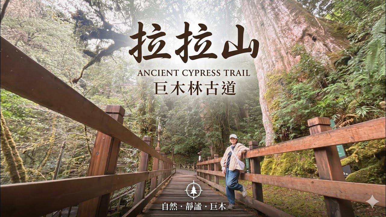 【拉拉山神木群步道】開箱雲山房民宿|拉拉山步道全程記錄|冬天的拉拉山真的好冷