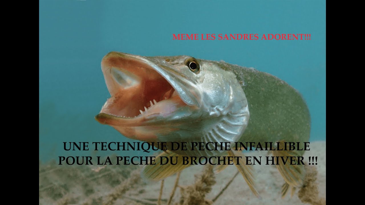 Une technique Infaillible pour pecher le brochet en hiver!!