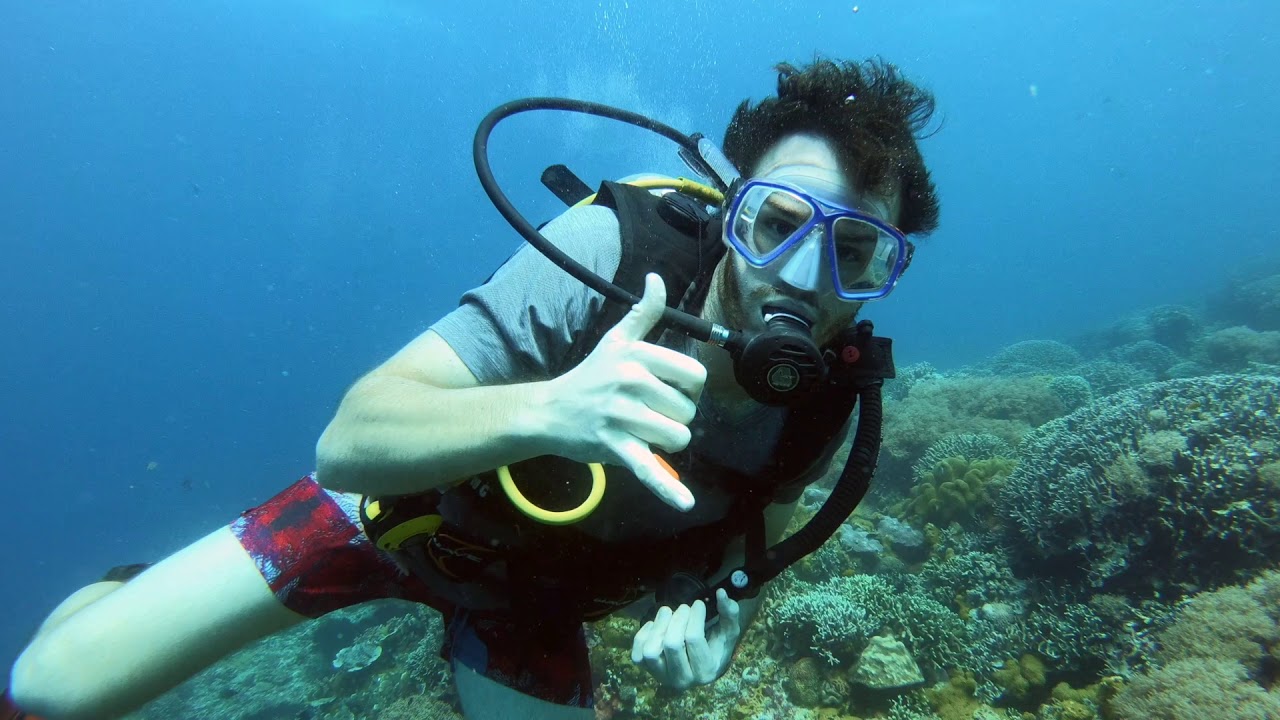 Philippines travel: Scuba diving off Apo Island