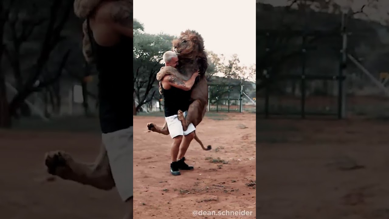 Le&atilde;o se encontra com seu amigo e o abra&ccedil;a