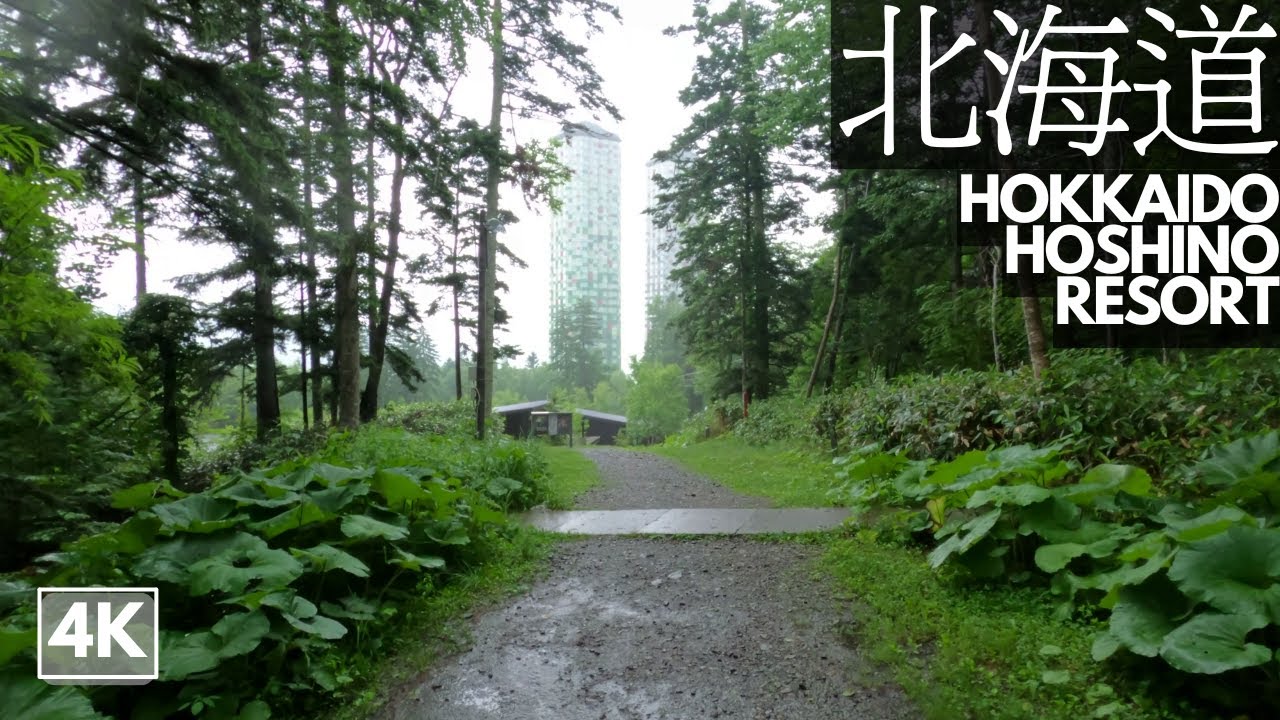Rainy Day Relaxing Walk -  Hoshino Resort Tomamu - [4K] 🎌🗾 Virtual Tour - Forrest Bathing