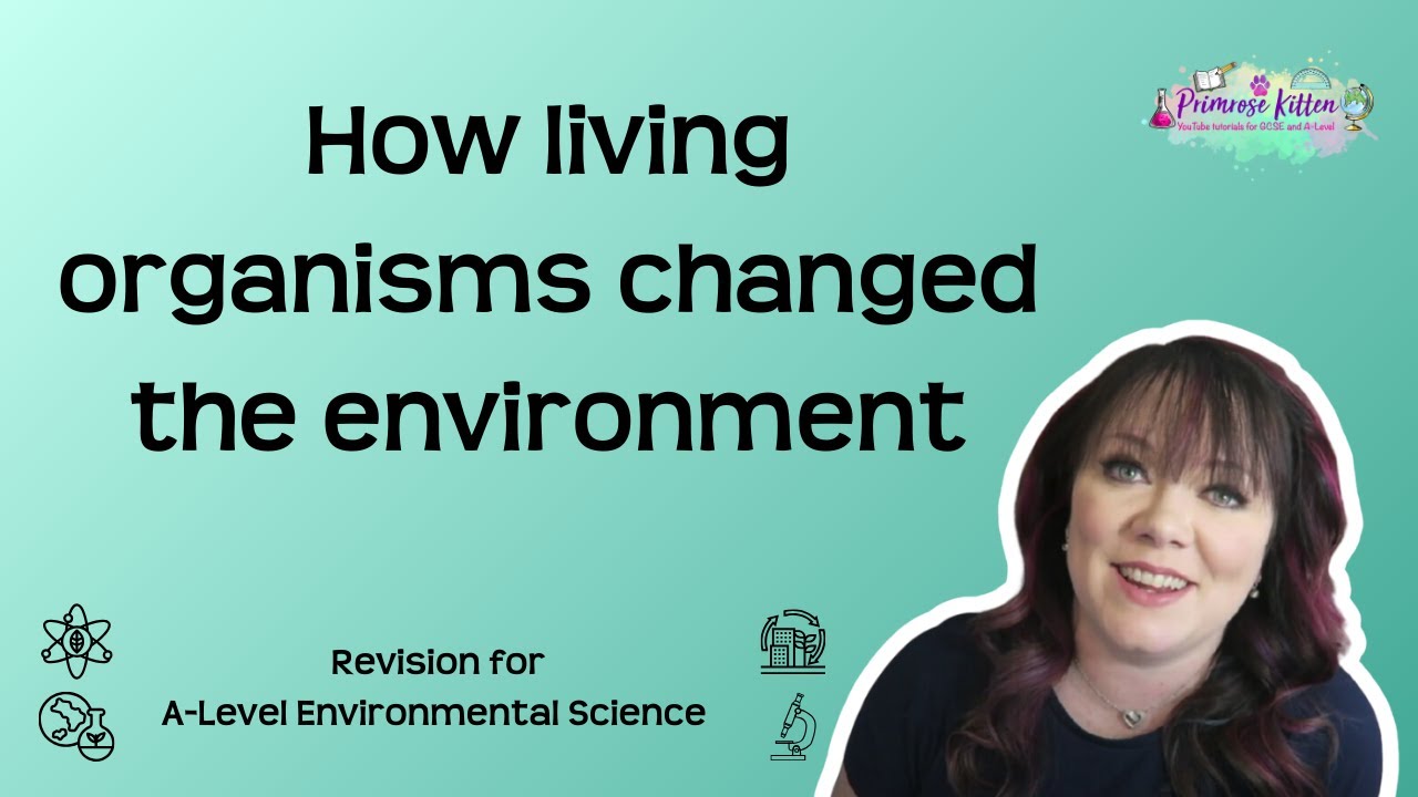 How living organisms changed the environment | AQA A Level Environmental Science Revision