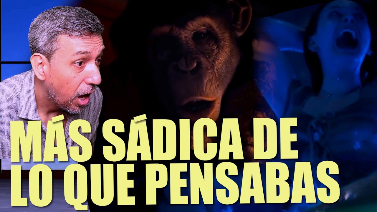PRIMATE - UN 