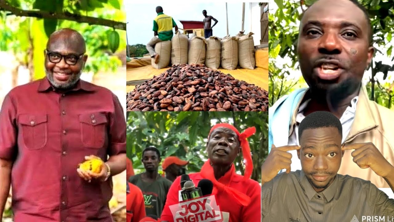 I'm NPP but I won't be a hypocrite. COCOBOD problems was caused by NPP - NPP man replies Miracles 