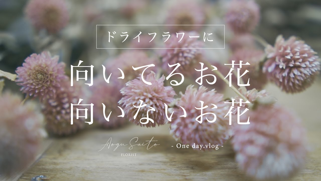 ドライフラワーの作り方  【向いてるお花と向いてないお花編】  ｜ dried flowers ｜ florist vlog
