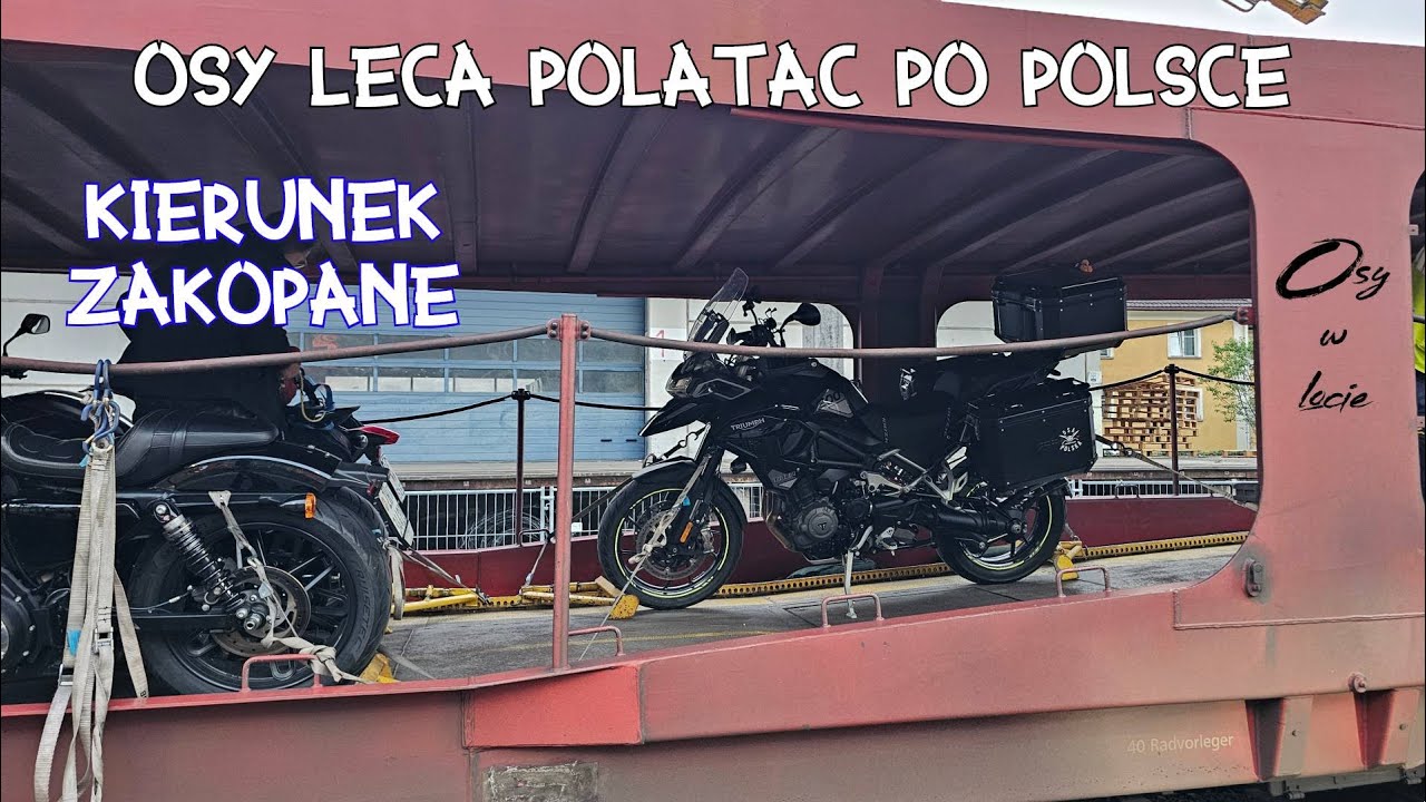 Jedziemy polatac po Polsce, kierunek Zakopane - Osy w locie